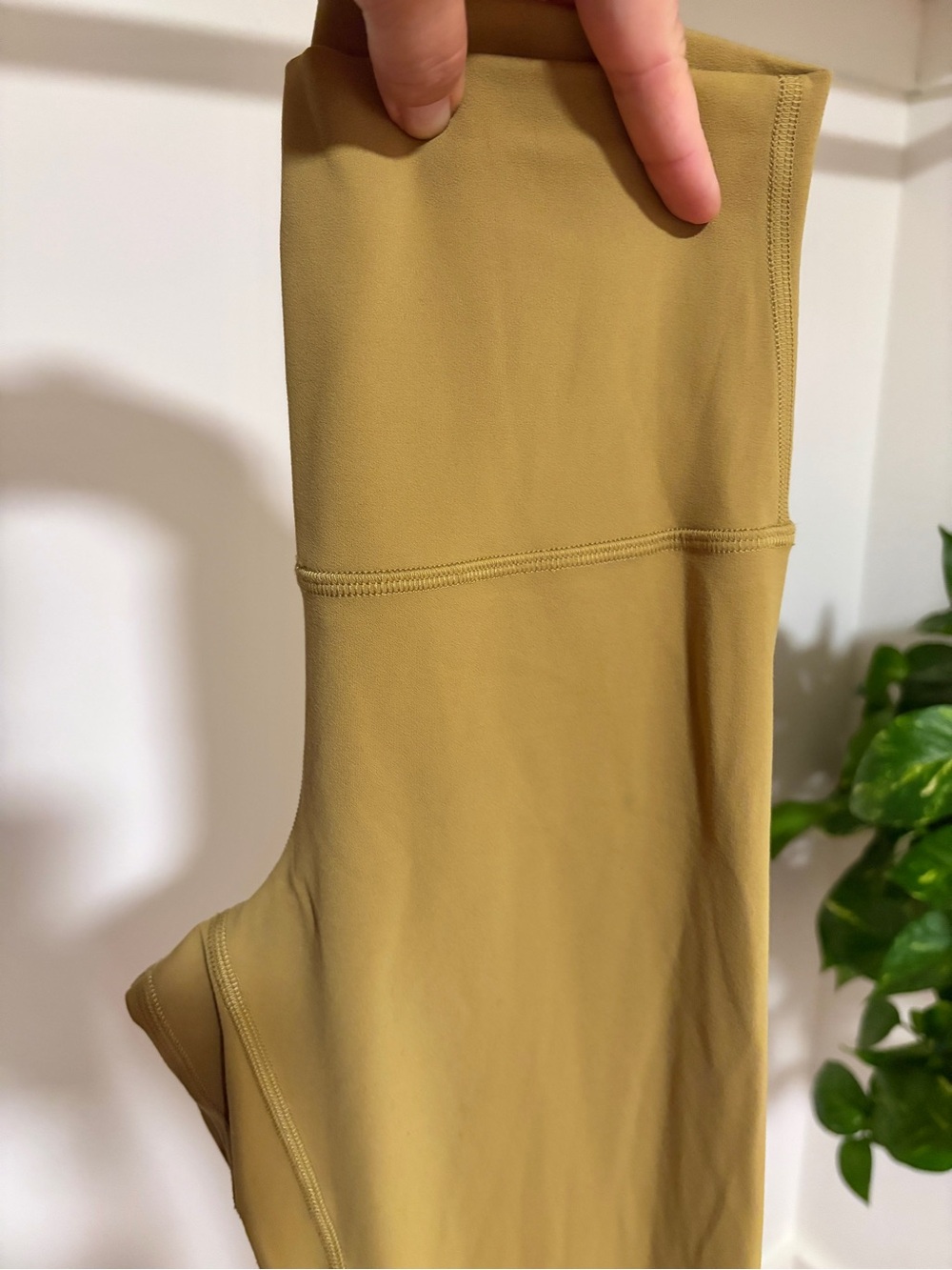 lululemon | Limited Run Grape Leaf Color | High-Waist Align 25” Leggings | 4